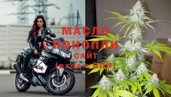 шишки Покачи