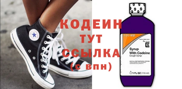 шишки Покачи