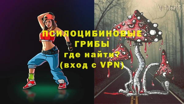 ПСИЛОЦИБИНОВЫЕ ГРИБЫ Россошь