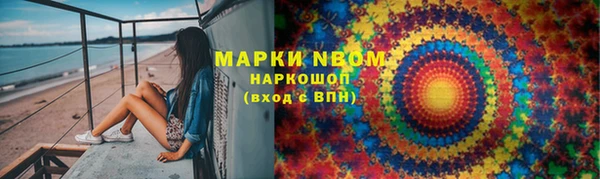 шишки Покачи