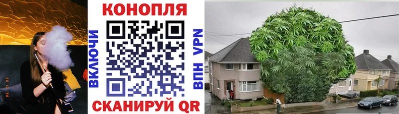 Бошки Шишки THC 21% Новая Усмань
